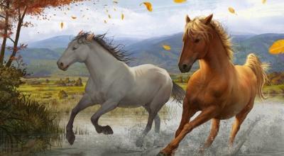 Výklad snov: Prečo snívate o koni Prečo snívate o tom, že na koňa nasadíte sedlo?