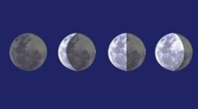 Vai ir iespējams stādīt pilnmēness laikā Mēness kalendārs burkānu stādīšanai