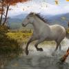 Dream Interpretation: Why do you dream about a horse? Why do you dream about putting a saddle on a horse?