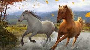 Dream Interpretation: Why do you dream about a horse? Why do you dream about putting a saddle on a horse?