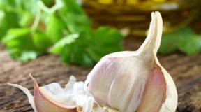 Harvesting and storing winter garlic Harvesting and storing summer garlic
